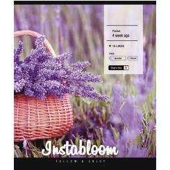 Тетрадь Школярик Instalife 96 листов линия Фото 4