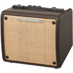 Комбоусилитель Ibanez Troubadour T15II U Фото