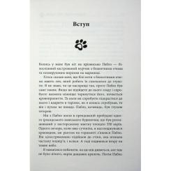 Книга Фабула Таємничий світ котів - Гербі Бреннан Фото 9