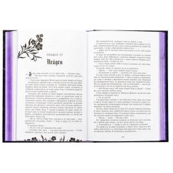 Книга Readberry Безсила - Лорен Робертс Фото 2