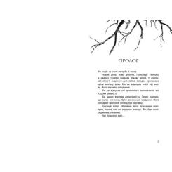 Книга Readberry Провідник. Книга 1 - Клер Мак-Фолл Фото 1
