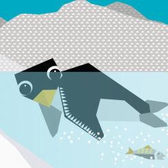 Книга Ранок Полярні друзі - Роджерс Мадлєн Фото 4