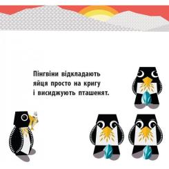 Книга Ранок Полярні друзі - Роджерс Мадлєн Фото 5