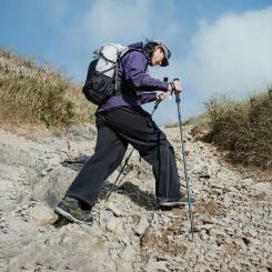 Треккинговые палки Naturehike CNK2450DS017, 130 см, чорна Фото 2