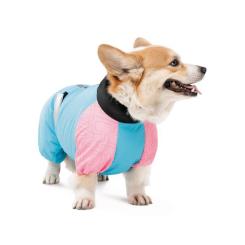 Комбинезон для животных Pet Fashion Milly XL (корги) Фото 2