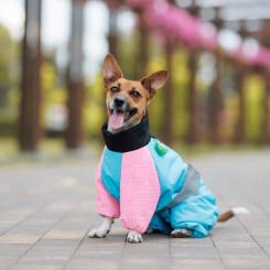 Комбинезон для животных Pet Fashion Milly XL (корги) Фото 3