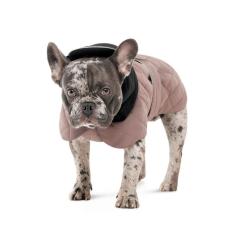 Попона для животных Pet Fashion Max М (такса) Фото 1