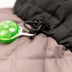 Попона для животных Pet Fashion Max М (такса) Фото 5