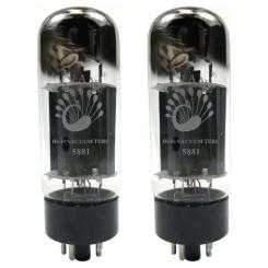 Лампа для усилителя PSVANE 5881 / 6L6GC (Matched Pair) Фото