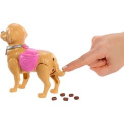 Кукла Barbie Прогулка с собачкой Фото 5
