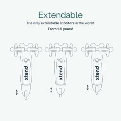 Самокат SmarTrike Xtend Mini-ride (Green) Фото 3