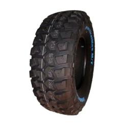 Шина Kapsen 265/75R16LT 123/120Q RS25 Фото