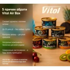 Ароматизатор для автомобиля VITOL Air Box Tropical Фото 6