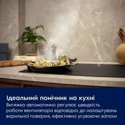 Вытяжка кухонная Electrolux CFG526R Фото 3