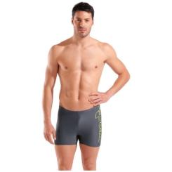 Плавки Arena Scratchy Swim Short 010281-560 сірий 80 Фото