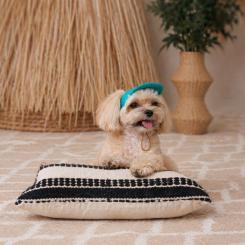 Кепка для животных Pet Fashion Topaz XS Фото 5