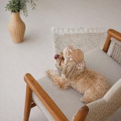 Кепка для животных Pet Fashion Print XL Фото 4