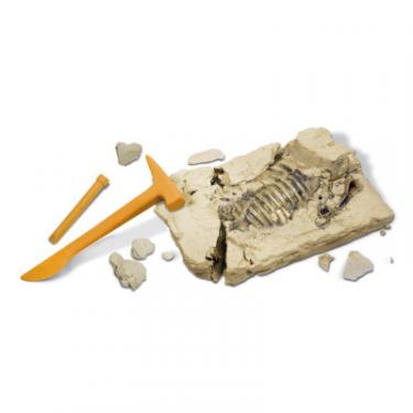 Игровой набор Geoworld Скелет Стиракозавр Фото 2