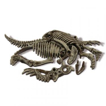 Игровой набор Geoworld Скелет Стиракозавр Фото 3