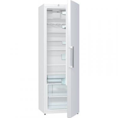 Холодильник Gorenje R6191FW Фото