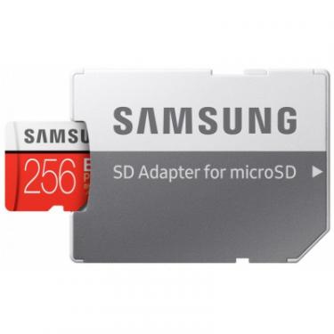 Карта памяти Samsung 256GB microSDXC class 10 UHS-I U3 Evo Plus Фото 6