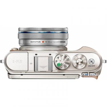 Цифровой фотоаппарат Olympus E-PL9 14-42 mm Pancake Zoom Kit brown/silver Фото 3