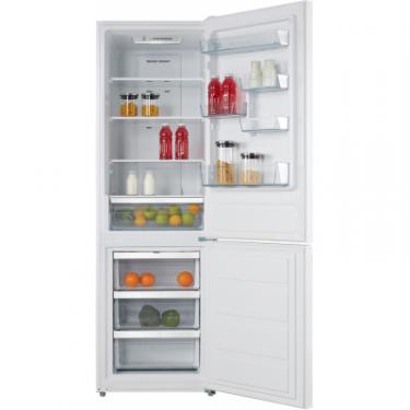 Холодильник Edler EM-400RWEN Фото 1