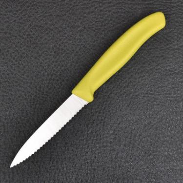 Набор ножей Victorinox SwissClassic, 8см, 2шт. в блистере, волнистое лезв Фото 2