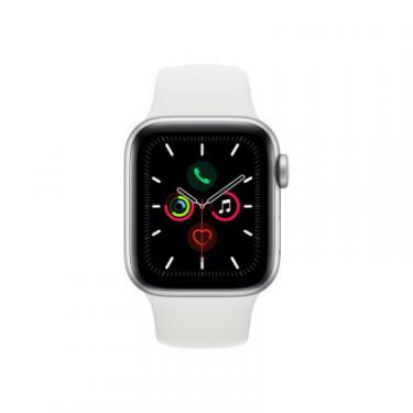 Смарт-часы Apple Watch Series 5 GPS, 40mm Silver Aluminium Case wit Фото