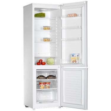 Холодильник Liberton LRD 180-270 MD Фото 1