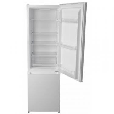 Холодильник Elenberg BMF-180 Фото 3