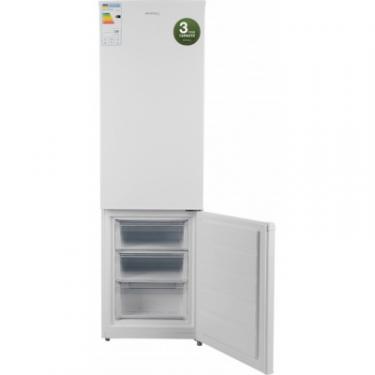Холодильник Elenberg BMF-180 Фото 4
