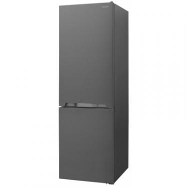 Холодильник Sharp SJ-BB10IMXL1-UA Фото 2