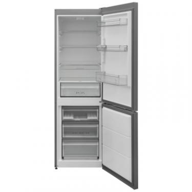 Холодильник Sharp SJ-BB10IMXL1-UA Фото 3