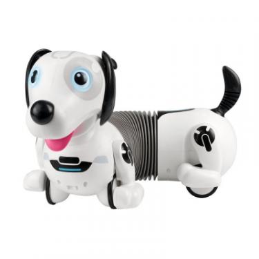 Интерактивная игрушка Silverlit робот-собака DACKEL R Фото