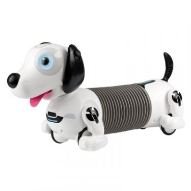 Интерактивная игрушка Silverlit робот-собака DACKEL R Фото 1