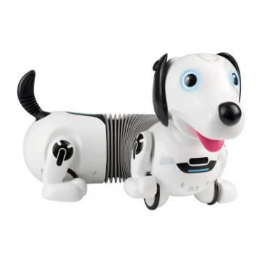 Интерактивная игрушка Silverlit робот-собака DACKEL R Фото 3