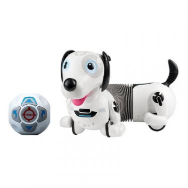 Интерактивная игрушка Silverlit робот-собака DACKEL R Фото 4