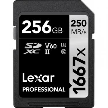 Карта памяти Lexar 256GB SDXC class 10 UHS-II U3 V60 1667x Profession Фото