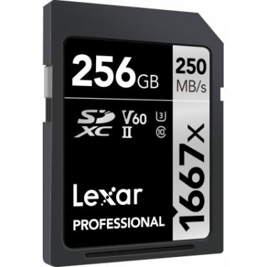 Карта памяти Lexar 256GB SDXC class 10 UHS-II U3 V60 1667x Profession Фото 1