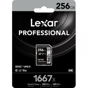 Карта памяти Lexar 256GB SDXC class 10 UHS-II U3 V60 1667x Profession Фото 2