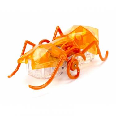 Интерактивная игрушка Hexbug Нано-робот Micro Ant, оранжевый Фото