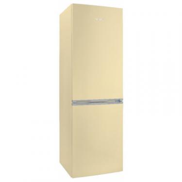 Холодильник Snaige RF56SM-S5DP2G Фото