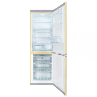Холодильник Snaige RF56SM-S5DP2G Фото 2