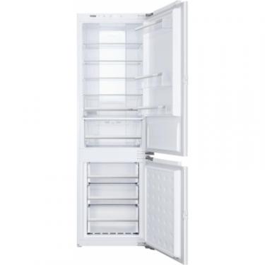 Холодильник Haier BCFT629TWRU Фото 2