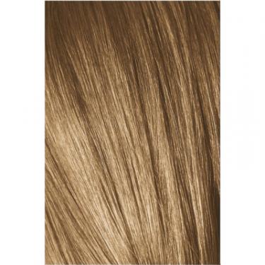 Краска для волос Schwarzkopf Professional Igora Royal 7-55 60 мл Фото 1