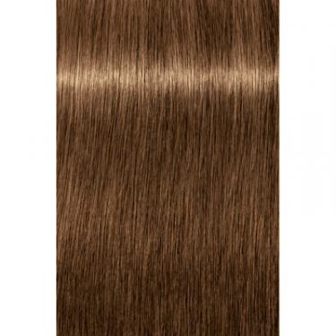 Краска для волос Schwarzkopf Professional Igora Royal Absolutes 7-50 Золотистый натуральный Фото 1