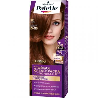 Краска для волос Palette 5-68 Каштан 110 мл Фото