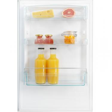 Холодильник Snaige RF56NG-P500NF Фото 10