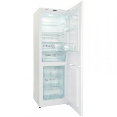 Холодильник Snaige RF56NG-P500NF Фото 2